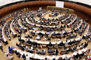 Вьетнам озабочен терактами, совершенными группировкой "Боко Харам"